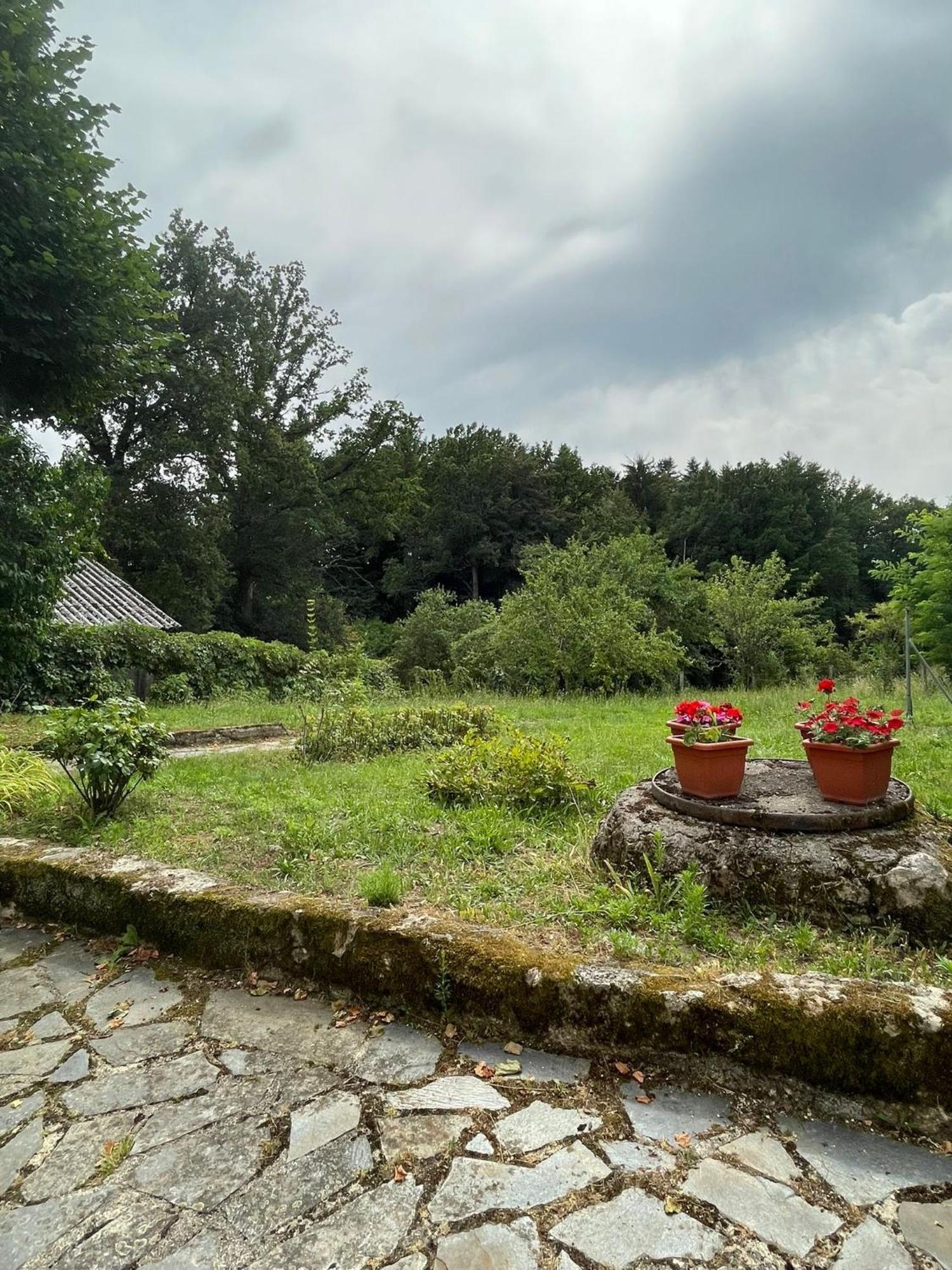 Hébergement de vacances Chez Patrick Vitrac (Cantal)